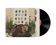 BUFFALO TRAFFIC JAM - PICTURES OF YOU -HQ- (Disco Vinilo LP)