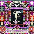 DECEMBERISTS - WHAT A TERRIBLE WORLD,.. (Disco Vinilo LP)