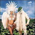 GILBERT, PAUL - ALLIGATOR FARM (Compact Disc)