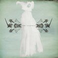 DELICATE CUTTERS - SOME CREATURES (Compact Disc)