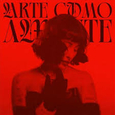 PAGANOTTO, INDIRA - ARTE COMO AMANTE -HQ- (Disco Vinilo LP)