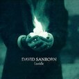 SANBORN, DAVID - INSIDE (Compact Disc)