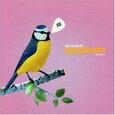 VARIOS ARTISTAS - SOUND OF YOUNG SWEDEN 4 (Compact Disc)