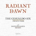 PARK, OWAIN - RADIANT DAWN (Compact Disc)