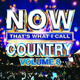 VARIOS ARTISTAS - NOW THAT'S WHAT I CALL COUNTRY 8 (Compact Disc)