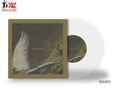 PAJARO - HE MATADO AL ANGEL -LTD- (Disco Vinilo LP)