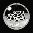 MODEST MOUSE - AN ERASER AND A MAZE (Compact Disc)