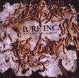 PURE INC - PARASITES AND WORMS (Compact Disc)