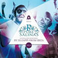 VARIOS ARTISTAS - PURE SALINAS VOL.8 (Compact Disc)