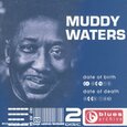 WATERS, MUDDY - BLUES ARCHIVE 15 (Compact Disc)