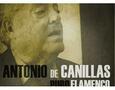 CANILLAS, ANTONIO DE - PURO FLAMENCO (Compact Disc)