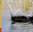VARIOS ARTISTAS - A FALL FROM THE PERFECT G (Compact Disc)