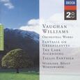 WILLIAMS, RALPH VAUGHAN - ORCHESTRAL WORKS (Compact Disc)