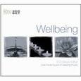 VARIOS ARTISTAS - WELLBEING 2013 (Compact Disc)
