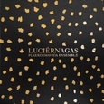 PLAERDEMAVIDA ENSEMBLE - LUCIERNAGAS (Compact Disc)