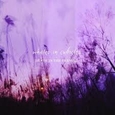 WHALES IN CUBICLES - DEATH IN THE EVENING -DIGI- (Compact Disc)