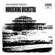 MOODSWING ORCHESTRA - MOODSWING ORCHESTRA  (Compact Disc)