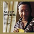 WATERS, MUDDY - ICON (Compact Disc)