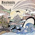 LEFTWICH, BENJAMIN FRANCIS - AFTER THE RAIN (Disco Vinilo LP)