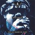 WOISKI, ERROL - TOTS ELS COLORS DEL BLUES (Compact Disc)