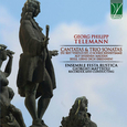 ENSEMBLE FESTA RUSTICA - TELEMANN CANTATAS AND TRIO SONATAS (Compact Disc)
