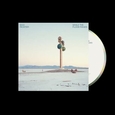 RICHTER, MAX - WHILE THE FLOOD RAGES (Compact Disc)
