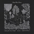 DEAD CAN DANCE - GARDEN OF THE ARCANE DELIGHTS + PEEL SESSIONS (Disco Vinilo LP)