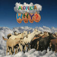 WHY? - ALOPECIA -LP+7