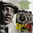 VARIOS ARTISTAS - SOUL OF SPRING VOL.2 (Compact Disc)