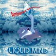 LIQUID MIND - AMBIENT MINIMUS (Compact Disc)