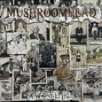 MUSHROOMHEAD - A WONDERFUL LIFE (Compact Disc)