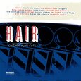 VARIOUS ARTISTS - HAIR: CHICAGO PUNK CUTS (Compact Disc)