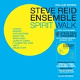 REID, STEVE - SPIRIT WALK -LTD- (Disco Vinilo LP)