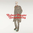 FORSTER, ROBERT - STRAWBERRIES (Compact Disc)