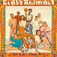 GLASS ANIMALS - HOW TO BE A HUMAN BEING (Disco Vinilo LP)