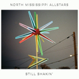 NORTH MISSISSIPPI ALLSTARS - STILL SHAKINÂ’ (Disco Vinilo LP)