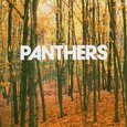 PANTHERS - THINGS ARE STRANGE (Compact Disc)