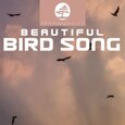 VARIOS ARTISTAS - BEAUTIFUL BIRD SONG (Compact Disc)