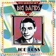 LOSS, JOE - BIG BAND GREATS (Compact Disc)