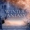 ARKENSTONE, DAVID - WINTER FANTASY (Compact Disc)