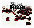 VELVET INSANE - VELVET INSANE (Compact Disc)