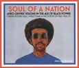VARIOS ARTISTAS - SOUL OF A NATION (Compact Disc)