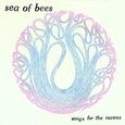 SEA OF BEES - SONGS FOR THE RAVENS (Compact Disc)