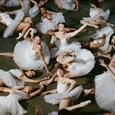 JIGITZ - 50 BALLERINAS (Compact Disc)